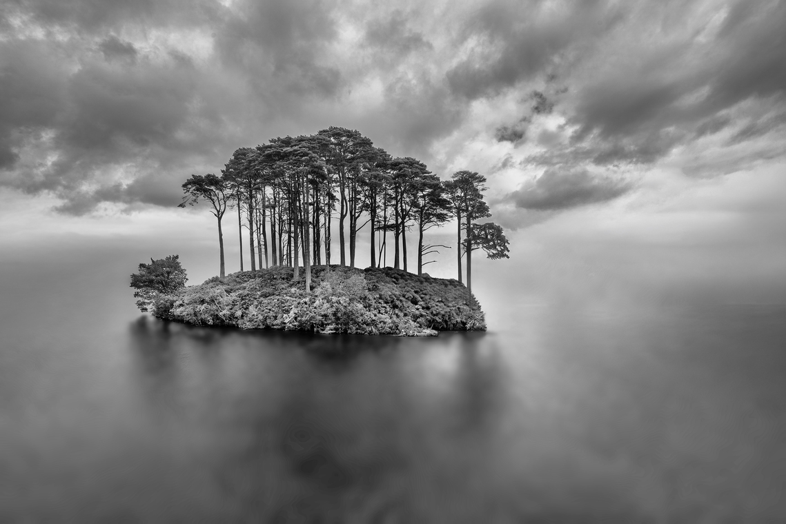 1st - Dumbledore's Resting Place - Andy Laing.jpg