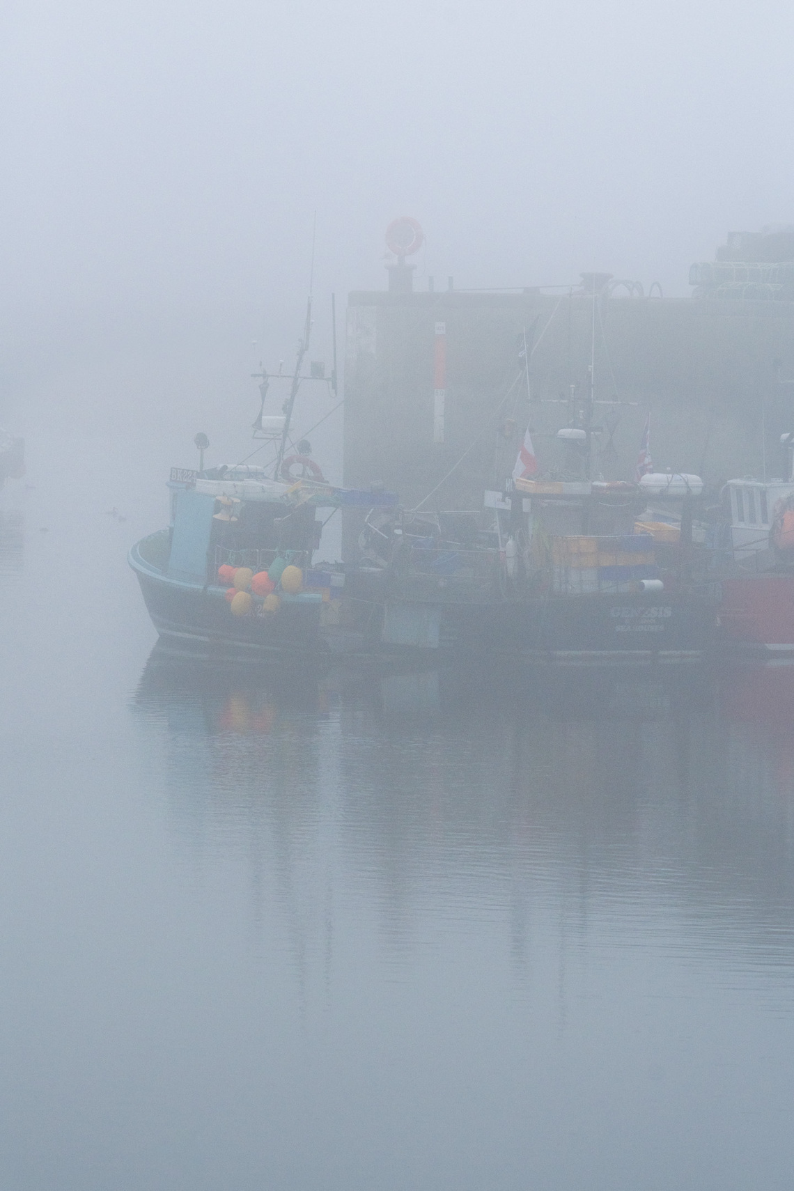 1st - Harboring Fog - Stephen Smith.jpg