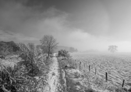 1st West Warden by Kevin Hilton
