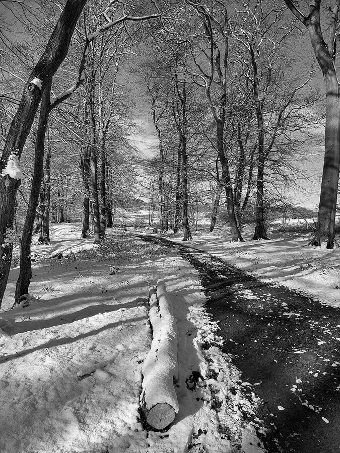 1st Winter path by Dave Strother