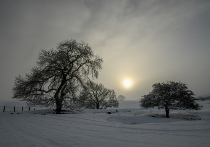 Freezing Fog by Kevin Hilton