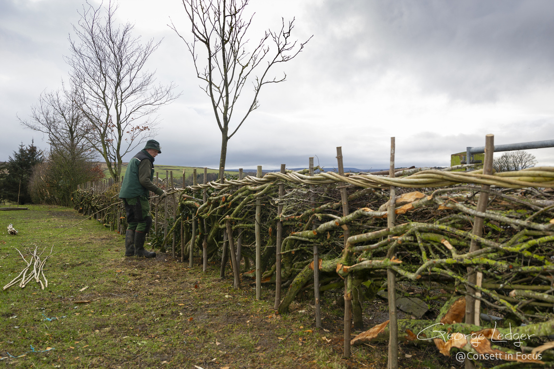 George Ledger Consett in focus