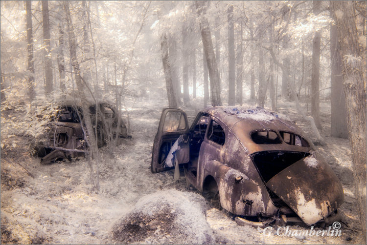 Gerald Chamberlin - Left to Rot