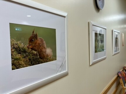 Hexham Hospital Exhibition 4