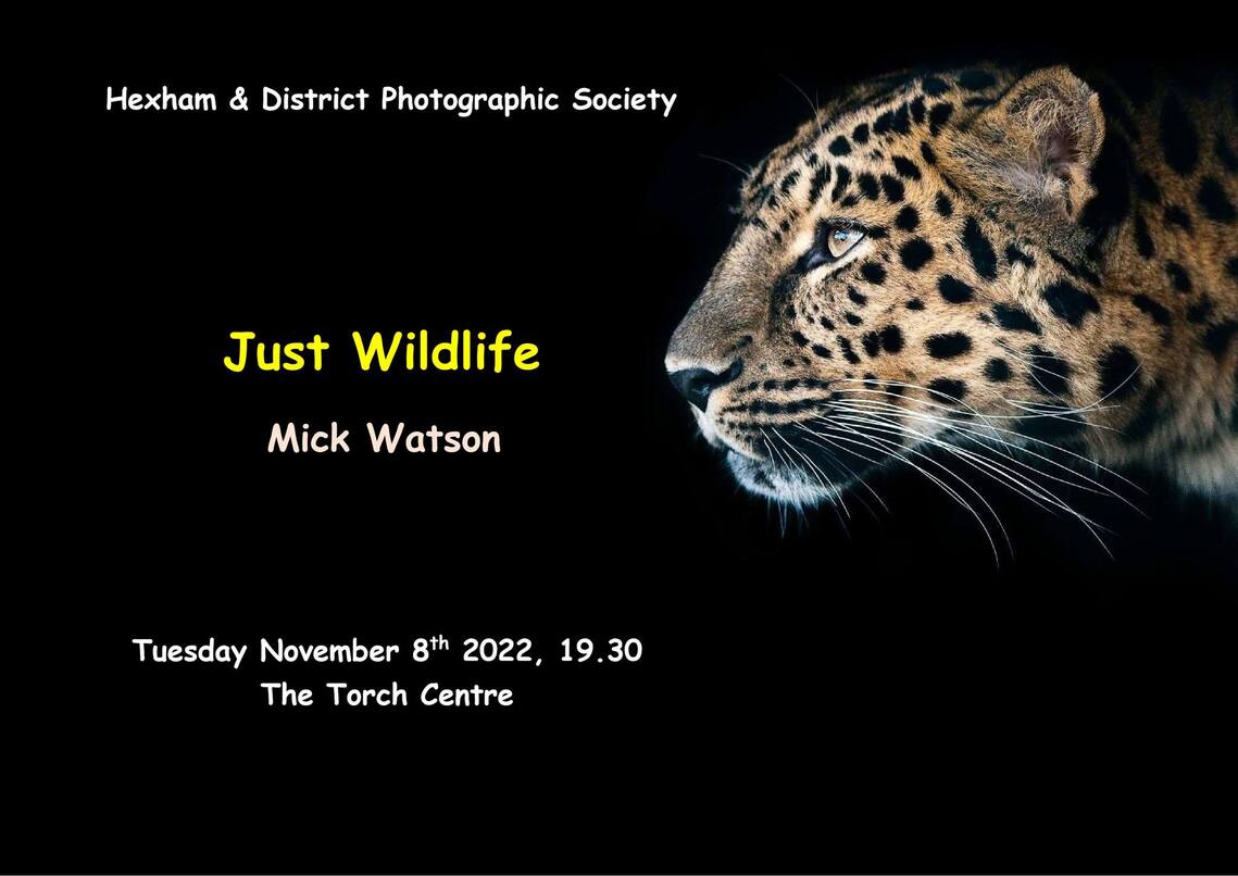 Just Wildlife