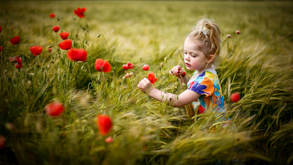 Looking For Ladybirds - Graham Oliver.jpg