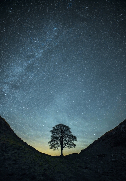 Sycamore Gap by Kevin Hilton
