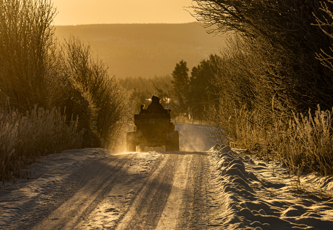 4th Place - Out at first light By Barbara Austin