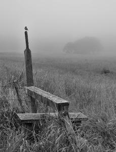 Boundry Lookout