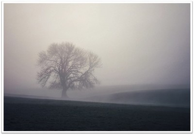 5 Has the fog cleared yet - Barbara Austin