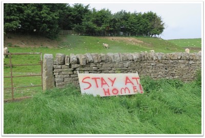 7 Stay at Home  - Mike Ward