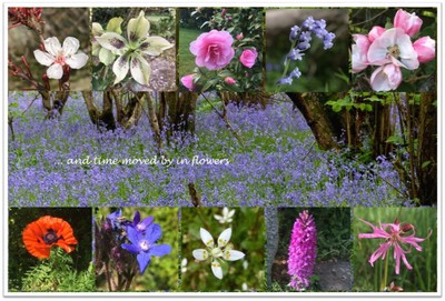 And Time Moved by in Floweres - Rosemary Bowyer