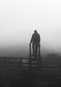 1-Into-the-Fog-by-Kevin-Hilton