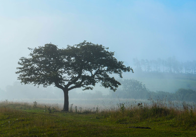 3-Mist-Burning-Off-by-Kevin-Hilton
