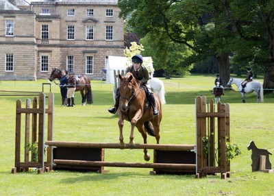 Horse jump by Pat Johnston