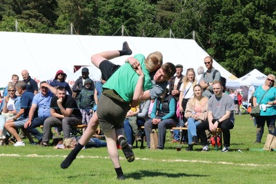 Wrestling by Dave Strother
