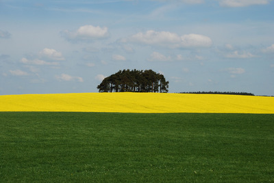 HC-Blue-Yellow-Green-by-Bill-Ferhuson(1)