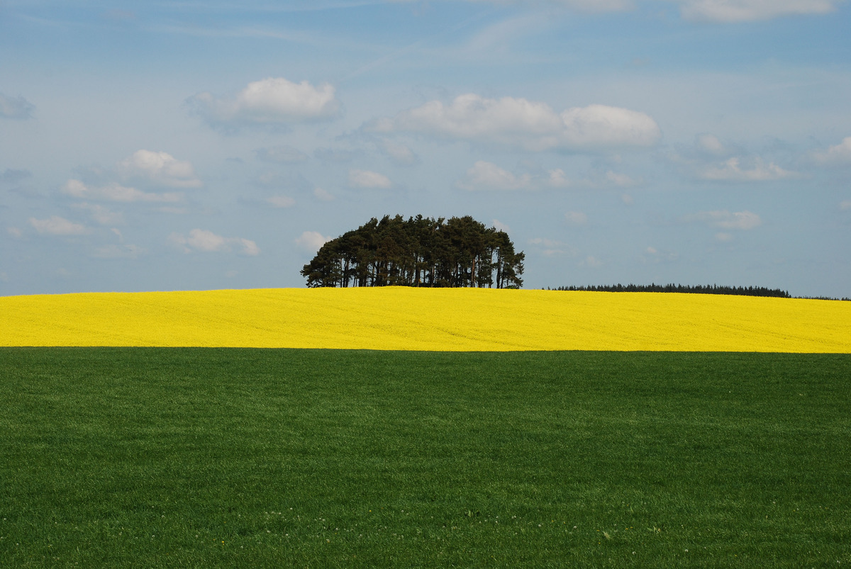 HC-Blue-Yellow-Green-by-Bill-Ferhuson(1)