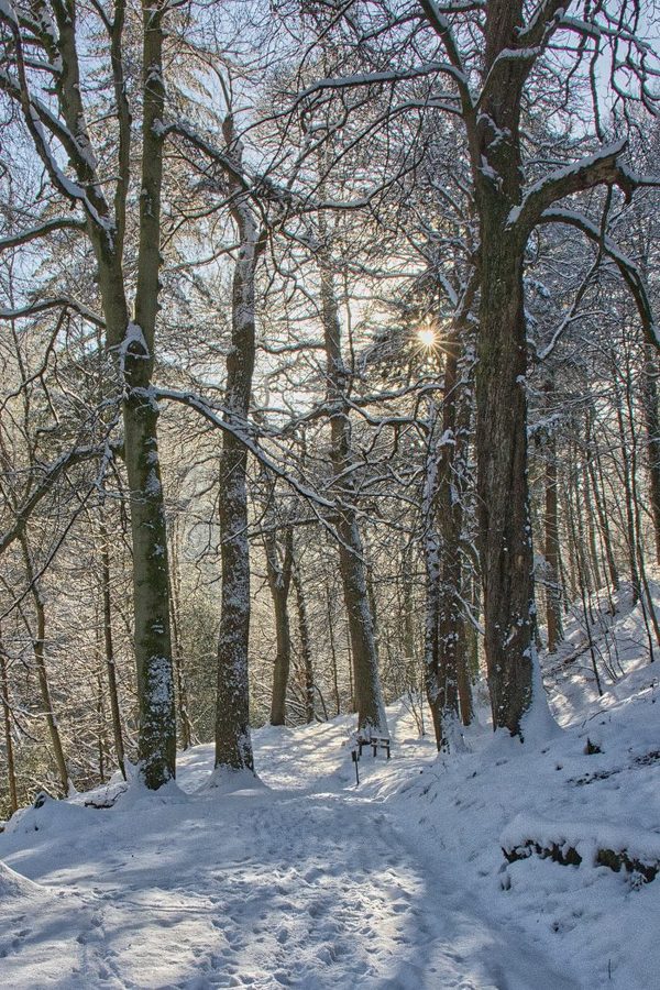 HC-Winter-path-by-Dave-Strother