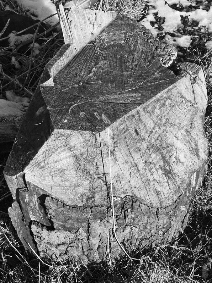 4thThe-woodsman-who-loved-geometry-by-Dave-Tuck