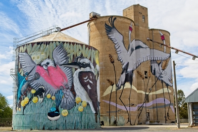 HC-Now-thats-what-I-call-graffiti-by-Dave-Best