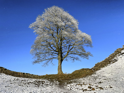 5th-All-Alone-by-Gerry-Stephens