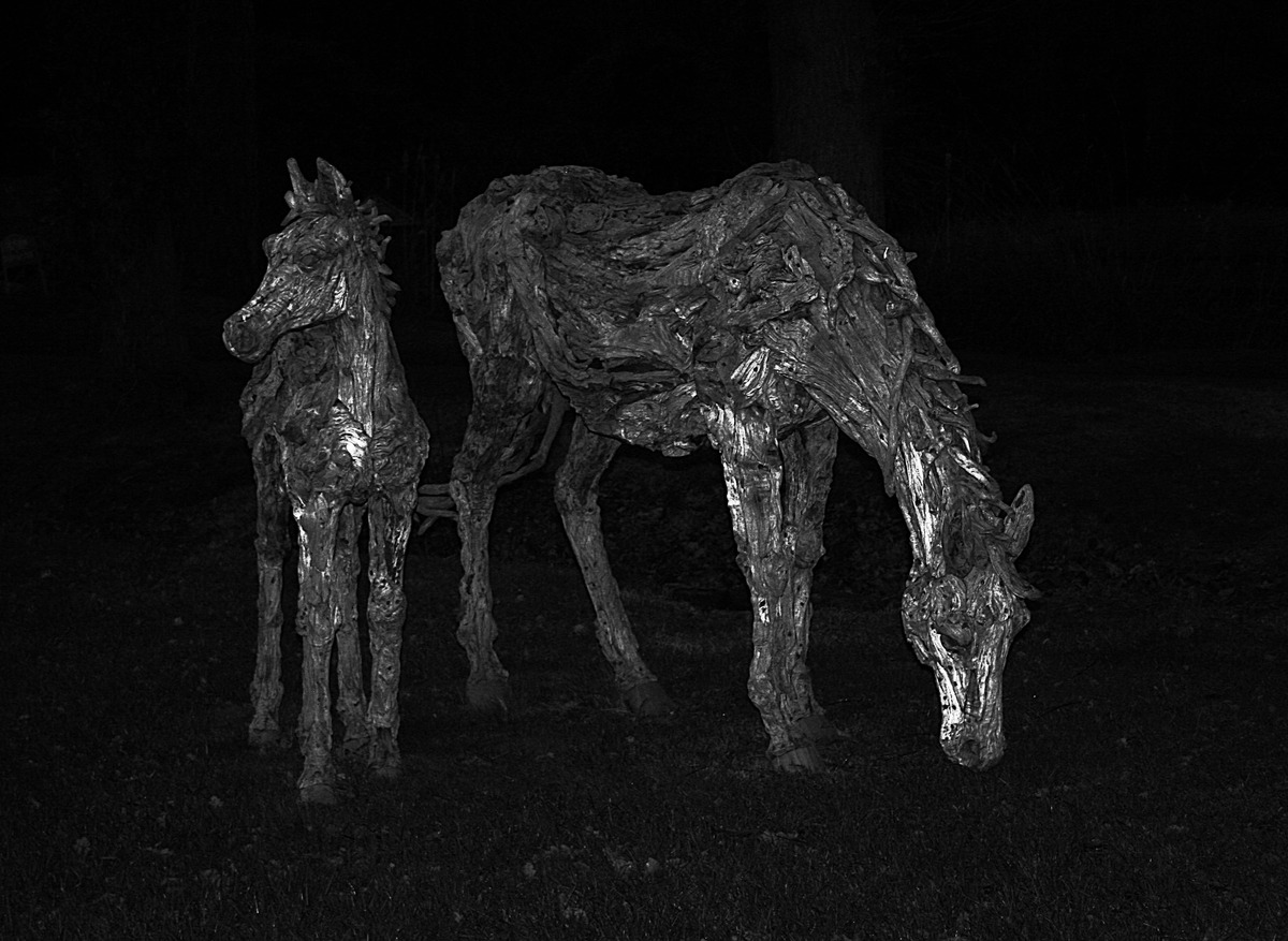 2nd-Phantom-Horses-by-Dave-Tuck
