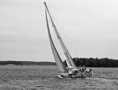 3rd-Caught-by-a-Karcher-by-Dave-Tuck