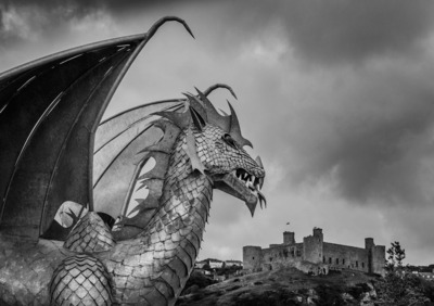 2nd-Harlech-Castle-dragon-by-Angus-Rid