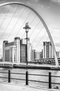 HC-Surveying-the-River-by-Geoff-Chrisp