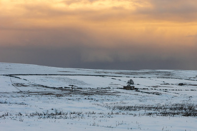  Winter landscape 