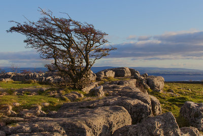 Windy Hilltop
