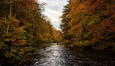 Allen Banks Autumn