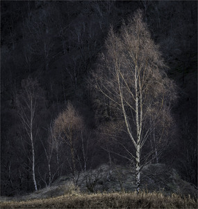 3rd Waiting for spring by Kenneth Rennie