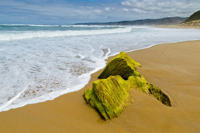 4th Sand and Surf by Dave Best