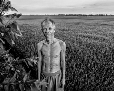 The Rice Farmer