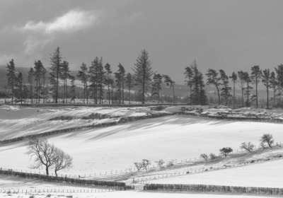 14 Snow Field