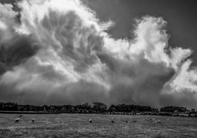 19 Wooly Clouds