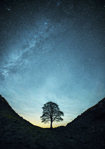 03 Milky Way over Sycamore Gap