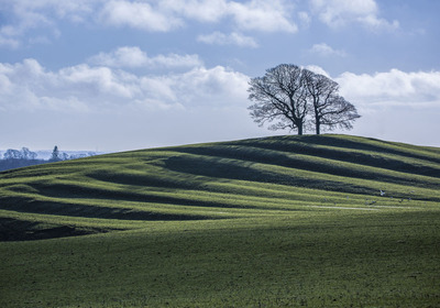 09 Cultivation Terraces