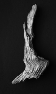3rd A stick, a tree or a waterfall by Dave Tuck