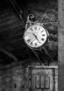 5th Time by Angus Reed