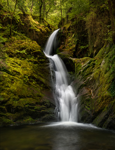 12 Dolgoch Falls