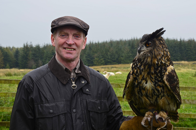 Eagle owl
