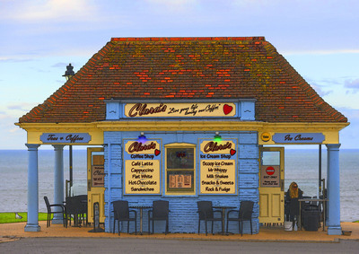HC The Cafe by Bob Turner