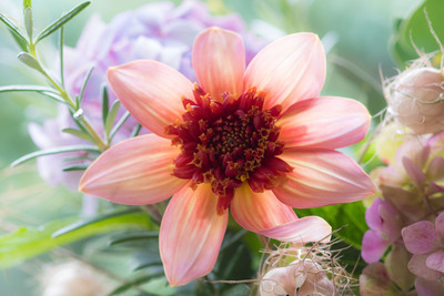 2nd  Standing out from the crowd by Duncan Burridge