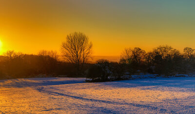 3rd  Late Sun by David Strother 