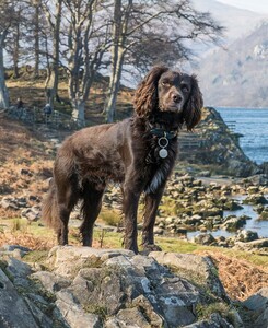 4th Master of his Domain by Duncan Burridge