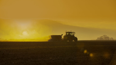 2nd  Harvest by Graham Oliver