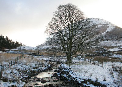 4th Raise Beck & Steel Fell by Dave Tuck